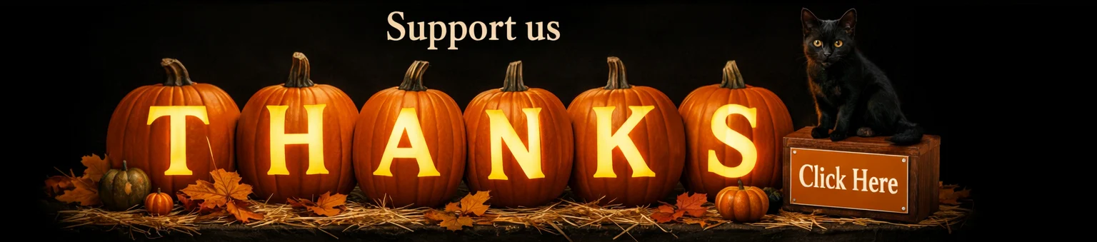 Support us